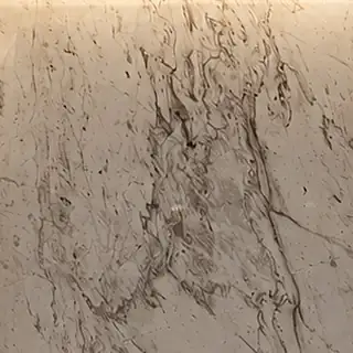 Veined white marble